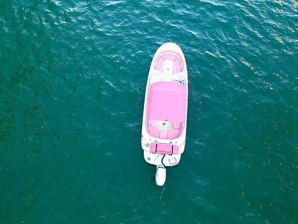 Thumbnail: ⚓ 26' BAYLINER PINK