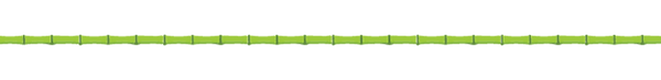 Green bamboo border