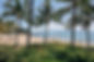 JV (266 of 862)_edited.jpg