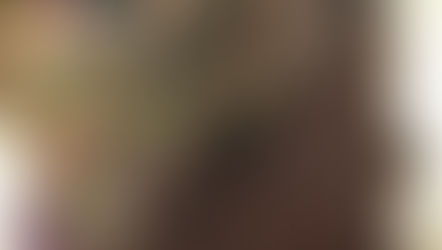 De kracht van aloë vera