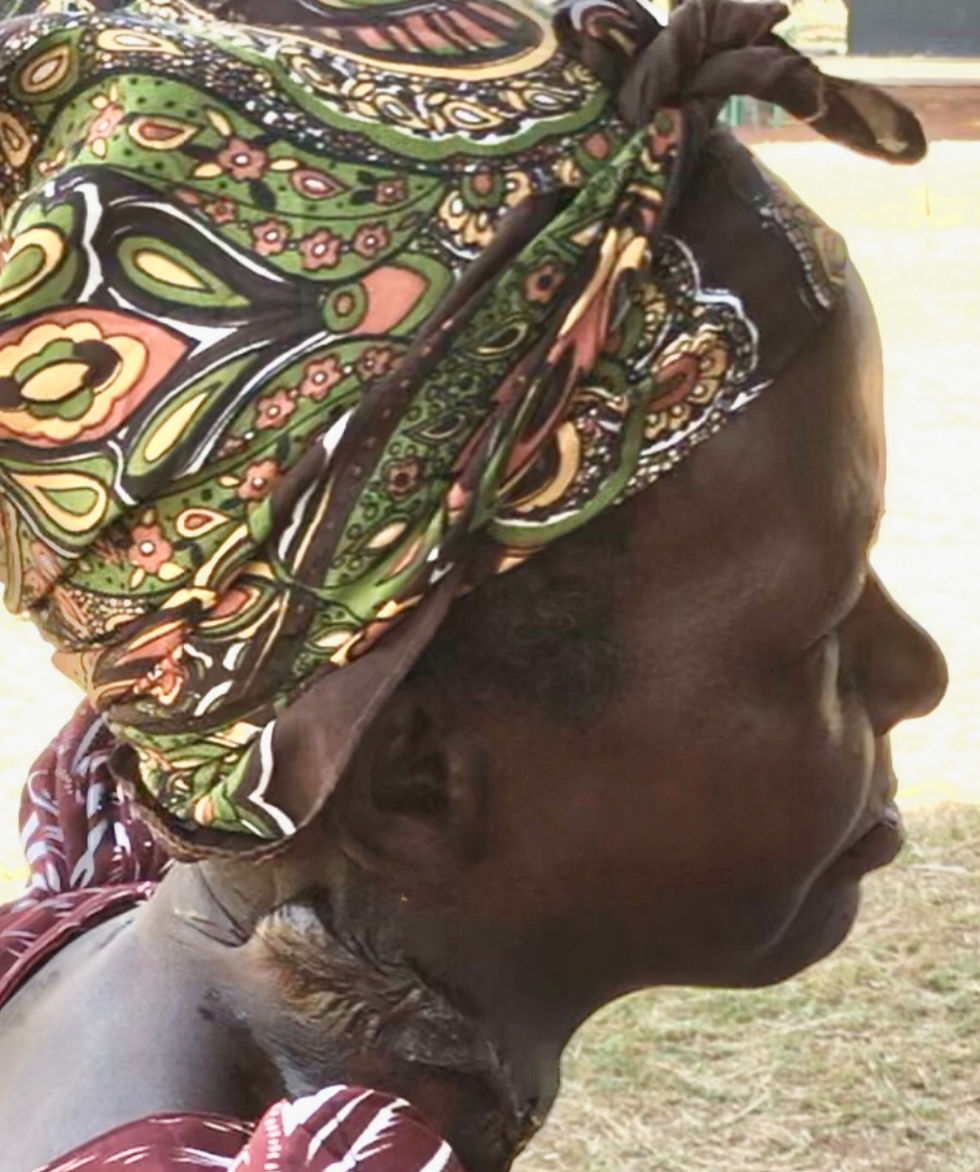 De kracht van aloë vera