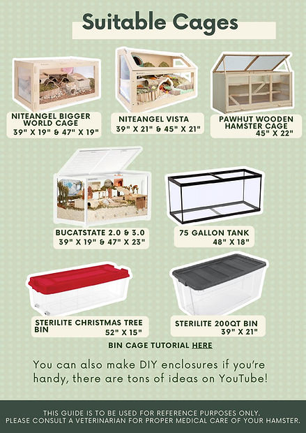 Hamster Care Guide-page-003.jpg