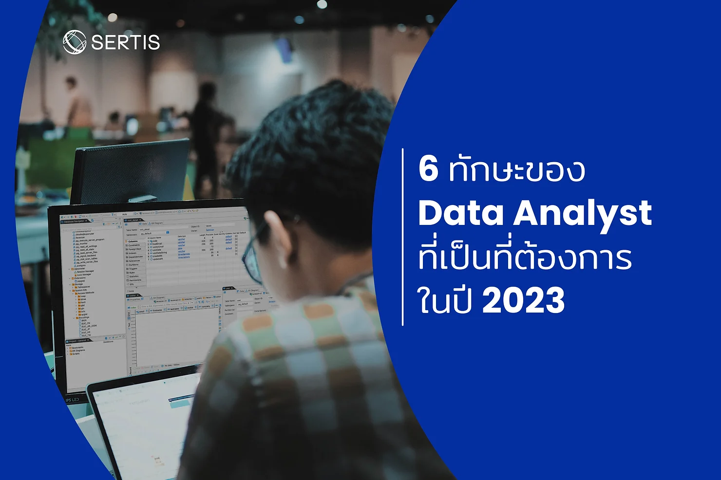 6 In-demand data analyst skills in 2023
