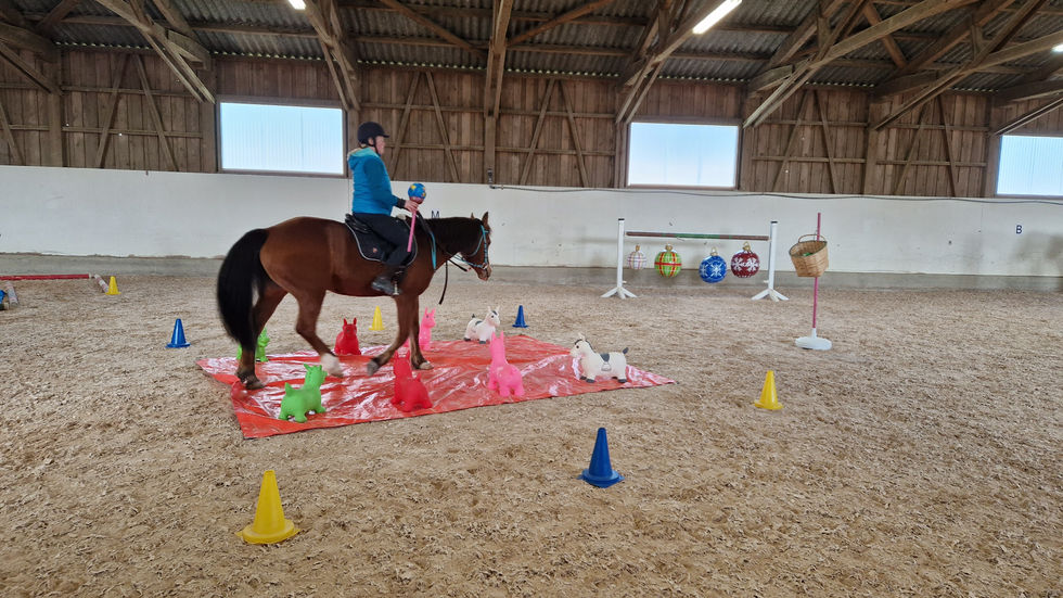 23_03_05_Trainings Gymkhana (87).jpg