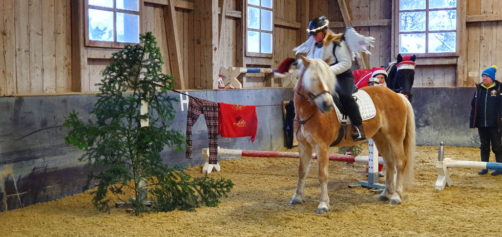 Weihnachts-Gymkhana21 (87).jpg