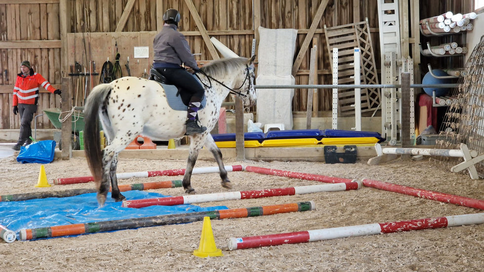 23_03_05_Trainings Gymkhana (14).jpg