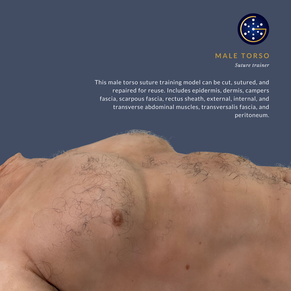 Male suture trainer 2