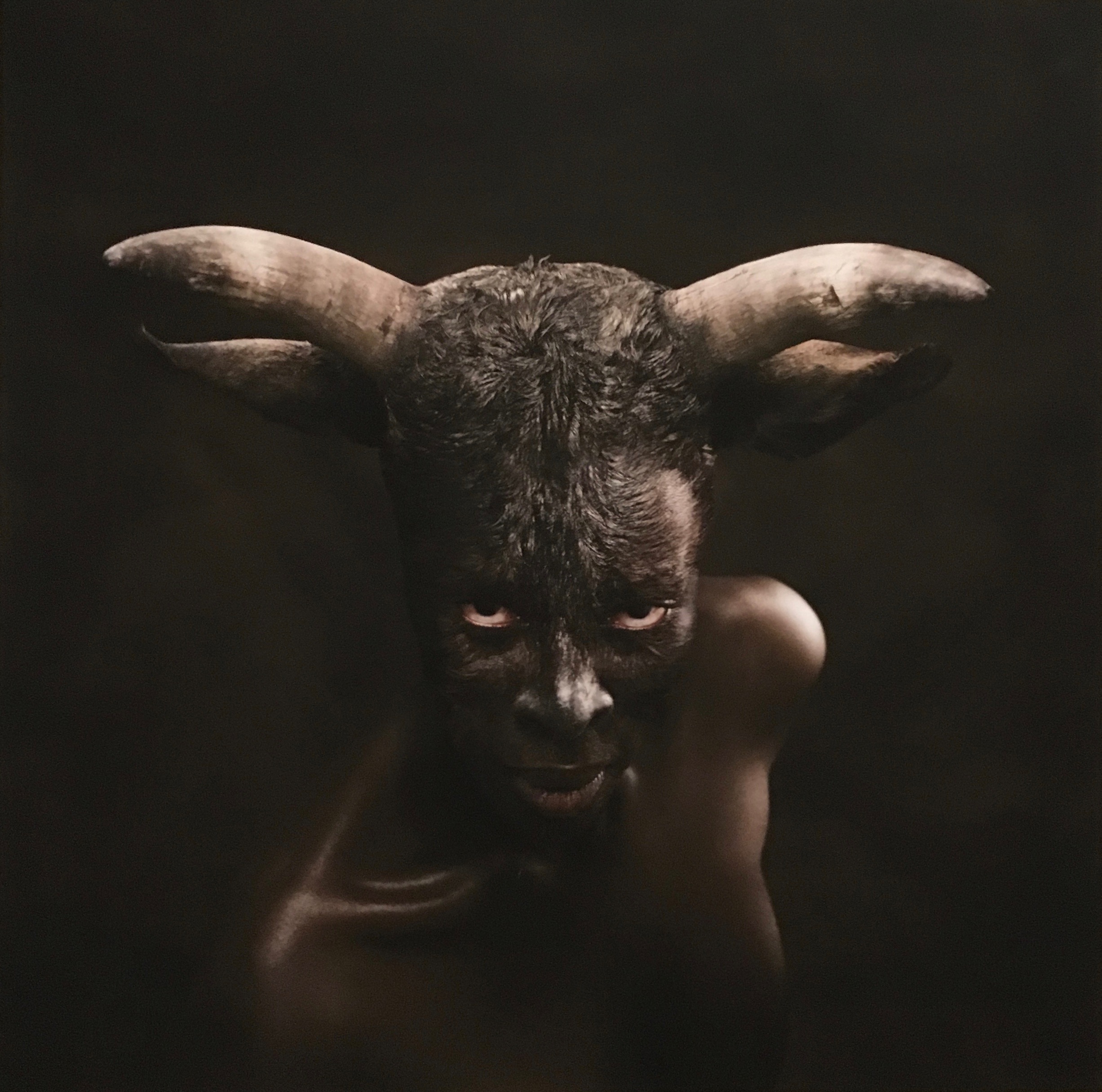 Nandipha Mntambo's Europa, 2008