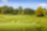 Golf course in Hertfordshire.JPG