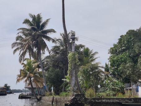 3 Days in Allepey - Beaches and backwaters best of both worlds!!