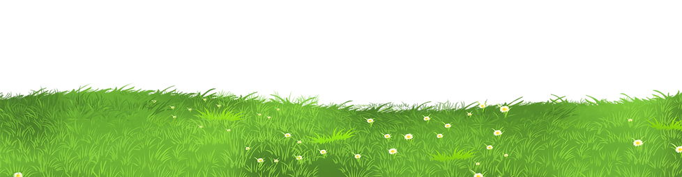 Herbe