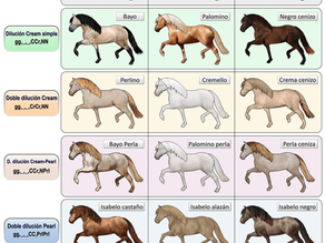 Genética y Pelaje: Cómo Controlar el Color de Tu Caballo