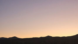 Regenerative Grazing: Maximizing Biodiversity at Banderilla Ranch