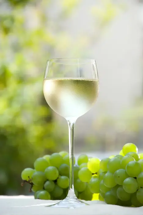 おすすめワイン