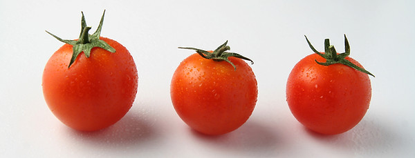 Fresh Tomatoes