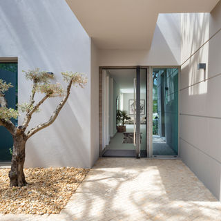 _12A8828-1 copyx.jpg