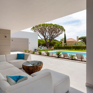 _12A8746-1 copyx.jpg