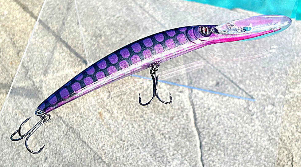 Thumbnail: Scrappi Ai dive bait