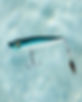 Lures-HeatherLanaePhotography-9789.jpg