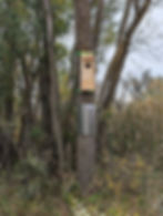 PXL_20251013_155257788