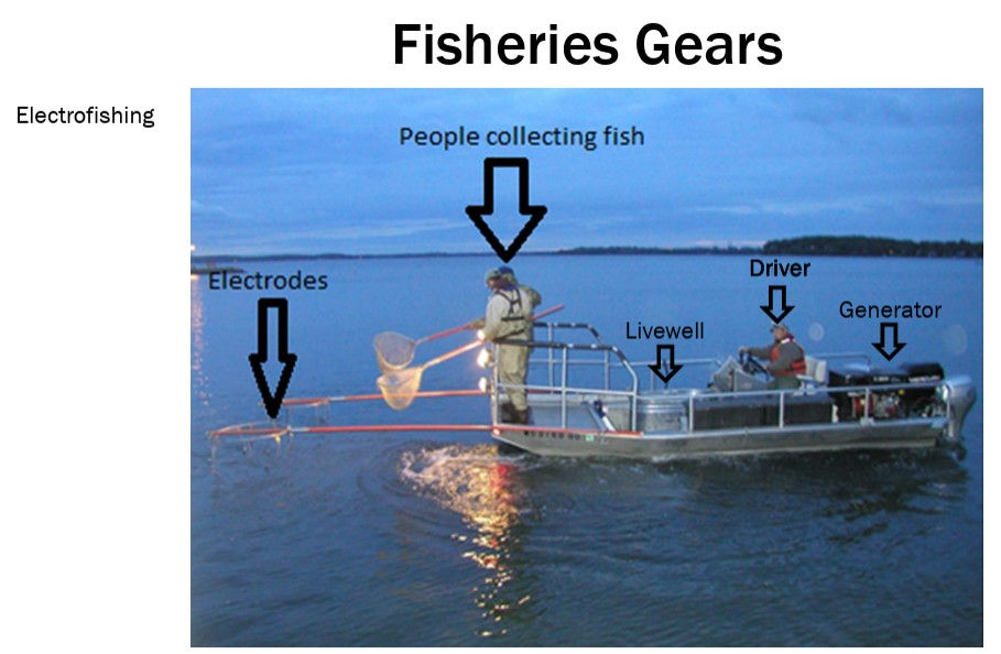 Fisheries Management Discussion and Electrofishing Demonstration
