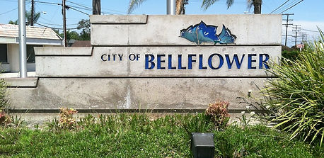 BELLFLOWER.jpg
