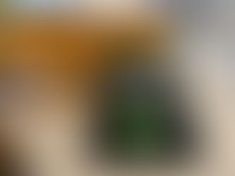 Water Quality Monitoring for the Angling Trust