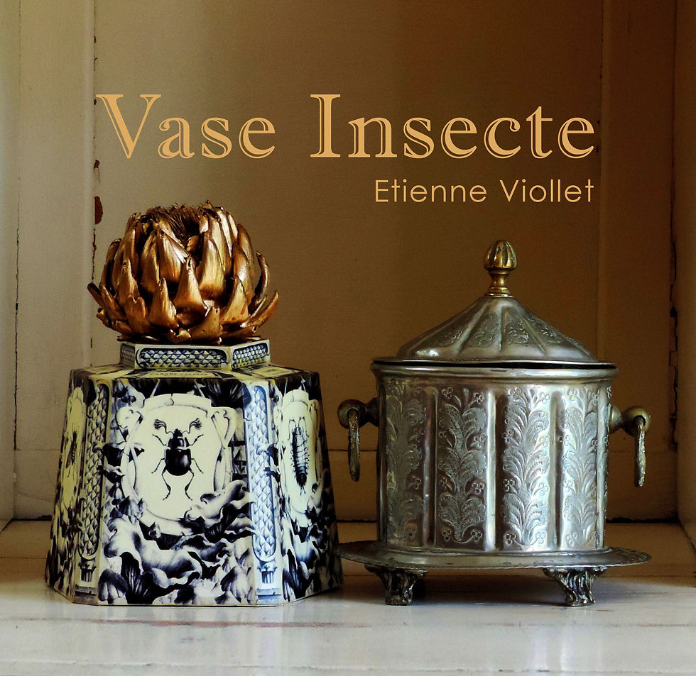 Miniature : INSECTE - noir/blanc