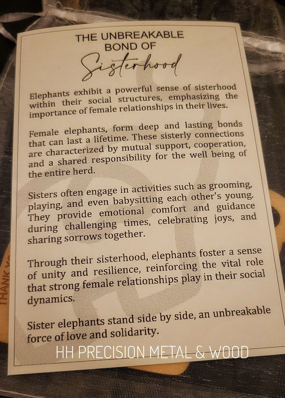 Thumbnail: Sisterhood Elephant 