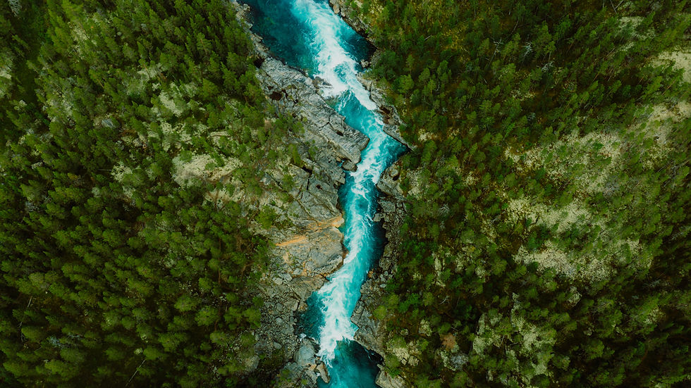 Luftaufnahme eines reißenden, türkisblauen Flusses, der sich durch eine felsige Schlucht mit dichten, grünen Nadelwäldern schlängelt. Das klare Wasser bildet weiße Schaumkronen, während es durch die schroffen Gesteinsformationen fließt, umgeben von natürlicher, unberührter Landschaft.