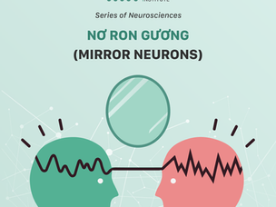 NƠ RON GƯƠNG (MIRROR NEURONS)