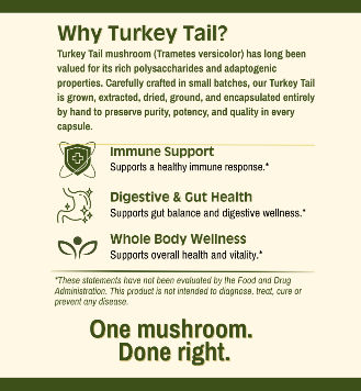 Thumbnail: Turkey Tail Concentrate Capsules