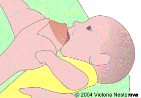 Prenatal Coach, Lactation Support, & Doula, Fort Collins, CO