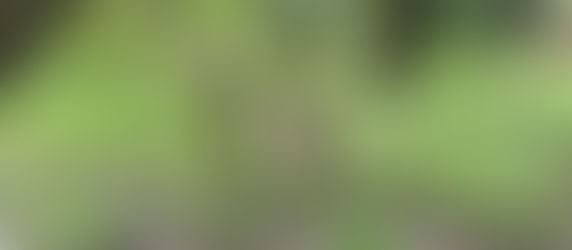 3-Month Social Media Marketing Plan