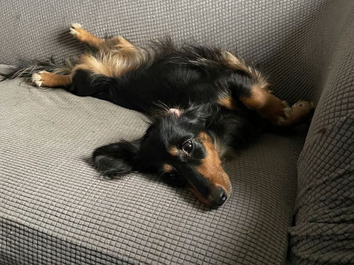 Lucy_edited.jpg