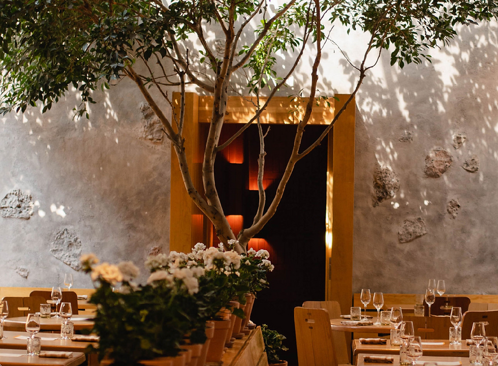 Captura de pantalla 2024-07-26 a la(s) 8.27.38 p.m.