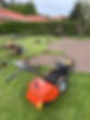 Rullegræs.jpg