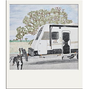 polariod.png