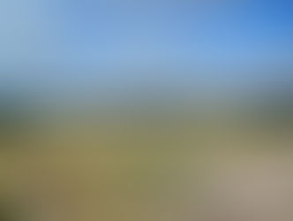 Wir wissen was wir wollen