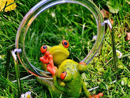 Mirror, Mirror on the Wall.