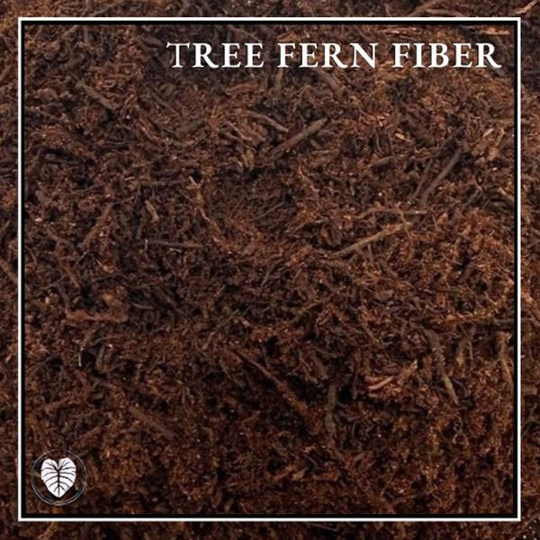 Thumbnail: Tree Fern Fiber — Premium Substrate for Plant Growth