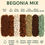 Thumbnail: Premium Begonia Mix — Light, Airy Soil for Healthy Roots & Vibrant Foliage