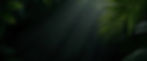 bestseller.banner.jpg