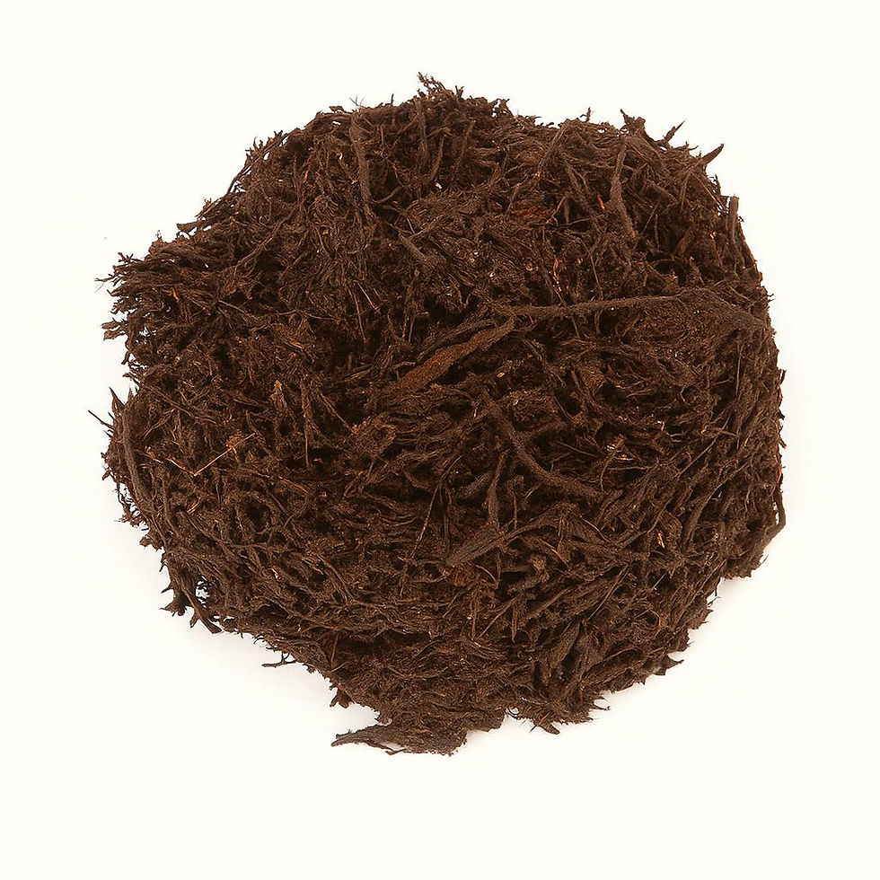 Thumbnail: Tree Fern Fiber — Premium Substrate for Plant Growth