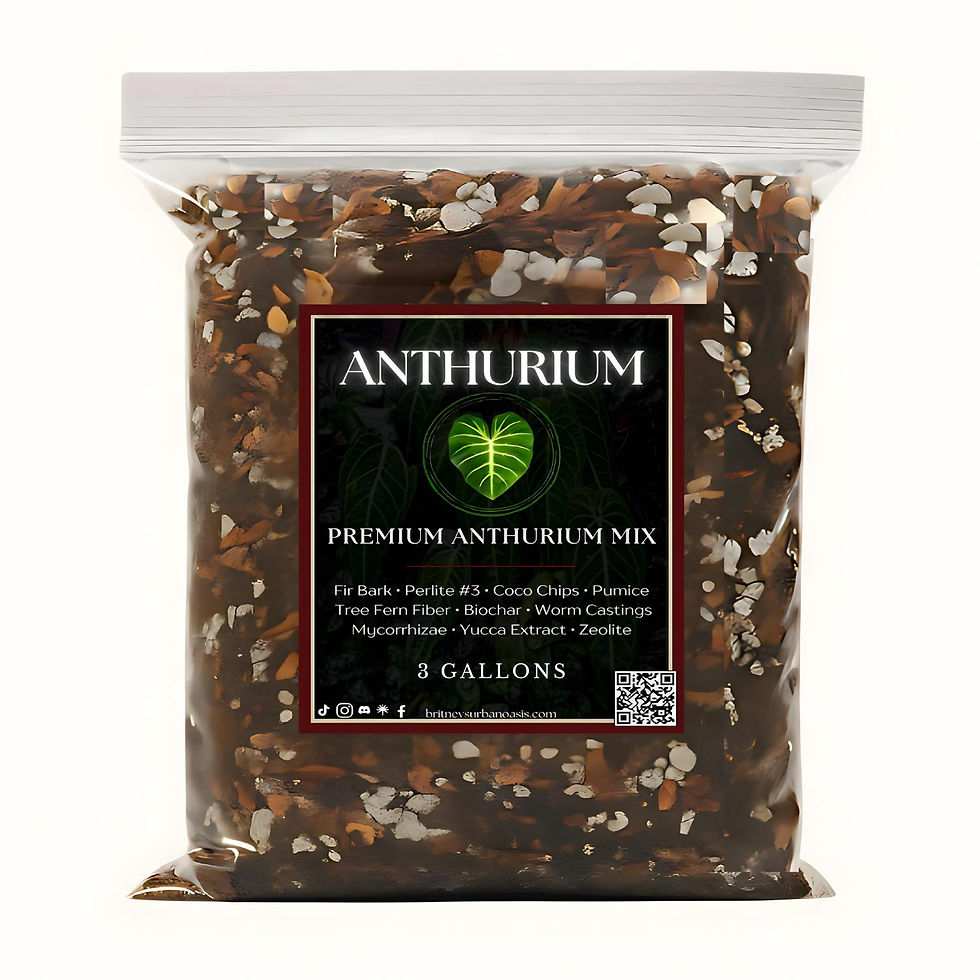 Thumbnail: Anthurium Mix