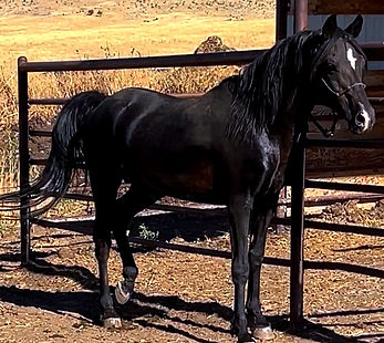 Maarakesh 8-2022 BjDavison photo