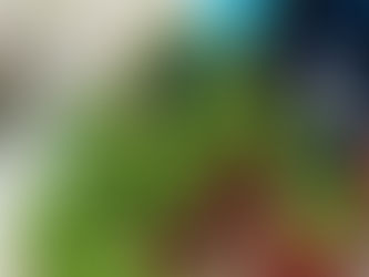 BAMSI donates produce to first responders