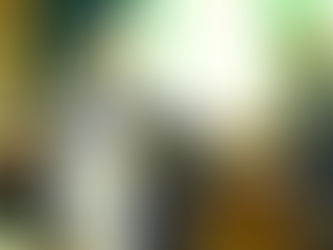 Davis expelled from House