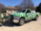 Tiger Pride truck with green striped design
