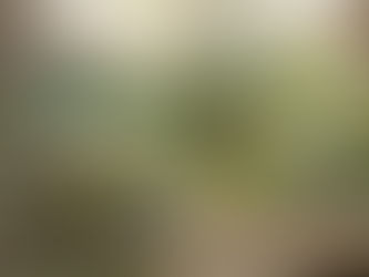 O que está no centro da tua vida?